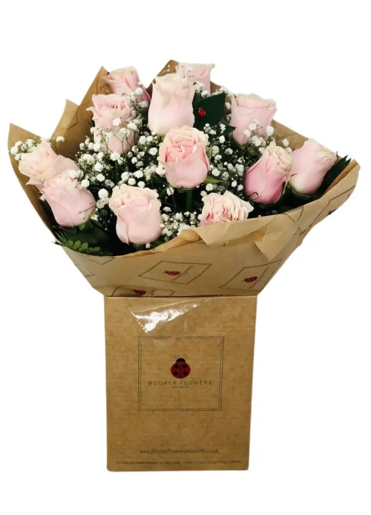 12 Pink Roses Handtied Bouquet