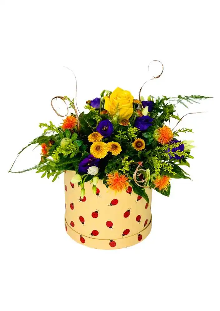 Autumn in a hatbox