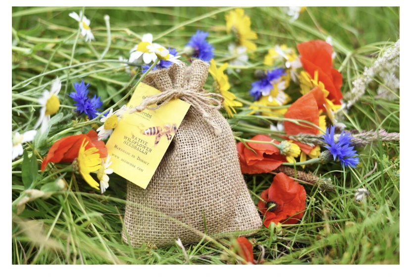 Beebombs Wild Flower Seedballs - Bring The Bees Back