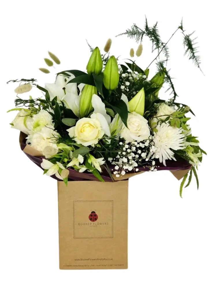 Champagne Celebration Hand Tied Extra Large