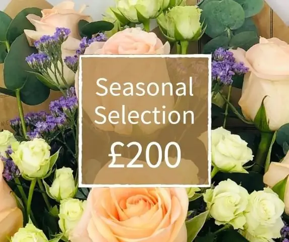 Florist Choice 200 - Seasonal Handtied Bouquet Florist Choice 200 - Seasonal Handtied Bouquet