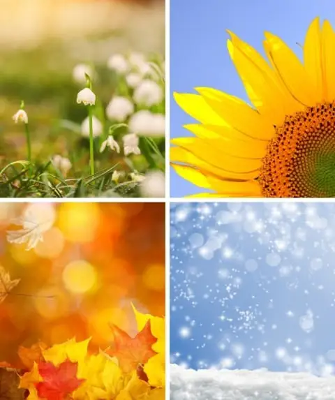 Flowers For Each Season