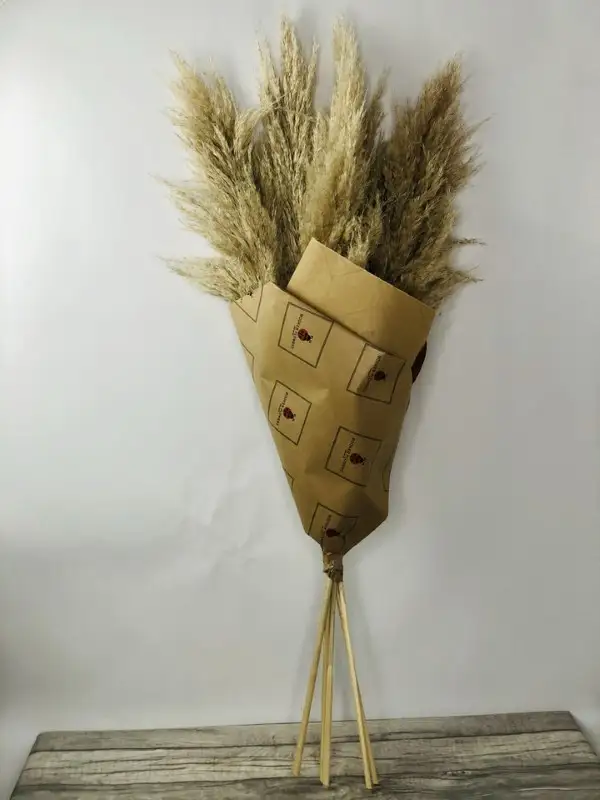 Natural Dried Fluffy Pampas Grass
