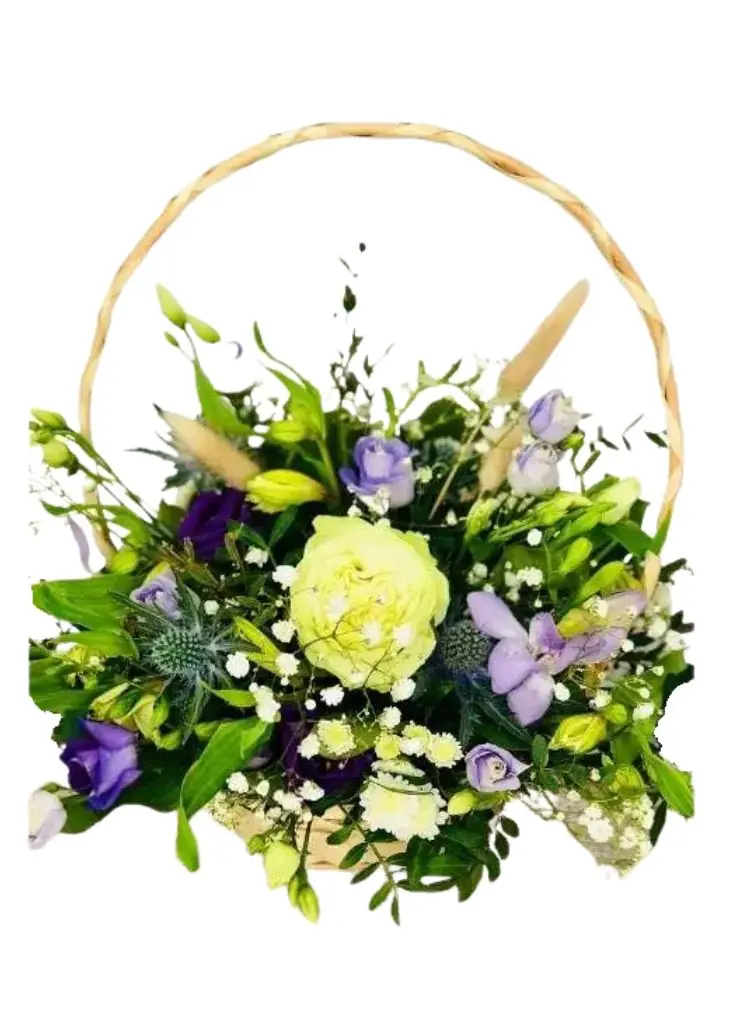 New Arrival Basket of Blue Flowers for Baby