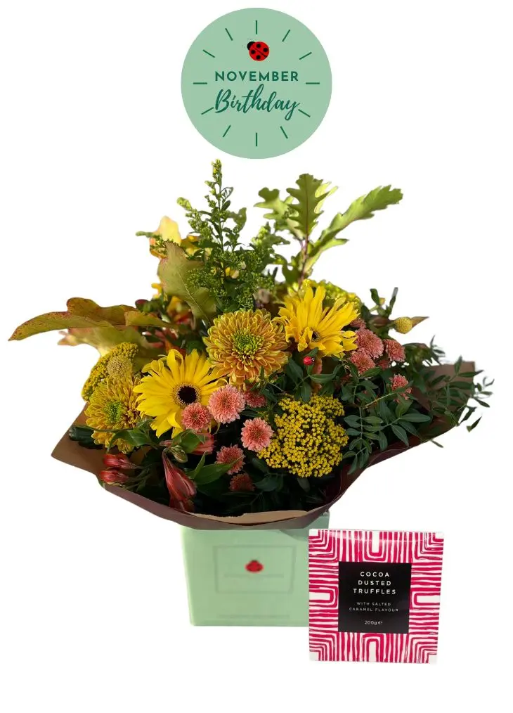 November Birthday flowers and Chocolates gift set