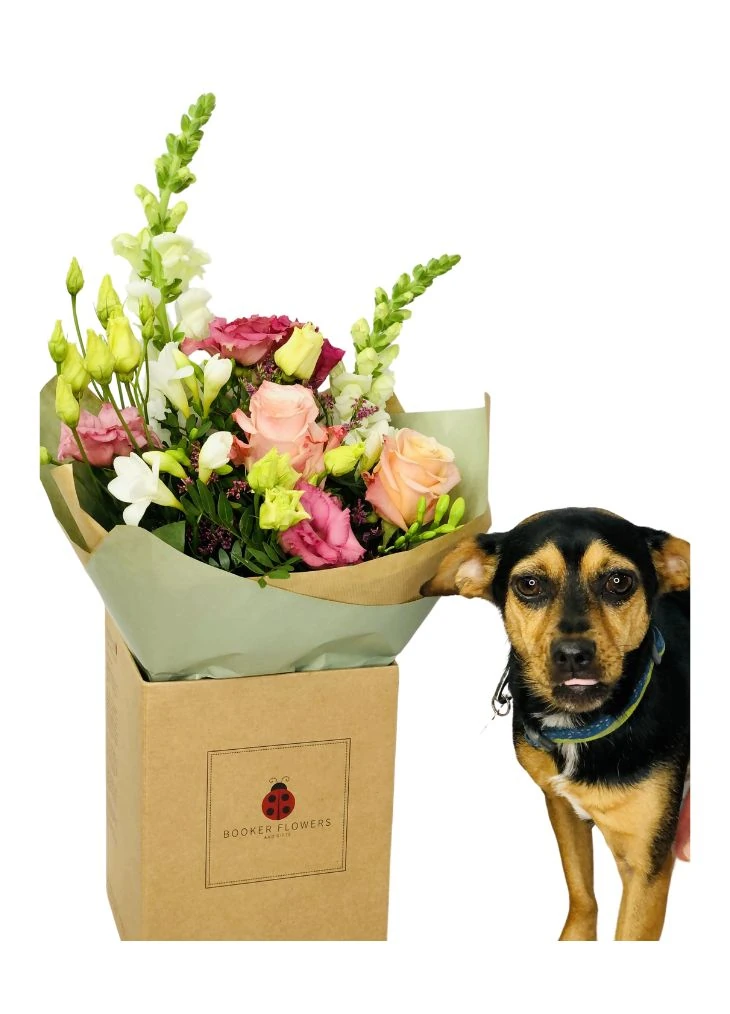 Pet Friendly Flowers Pastel Bouquet