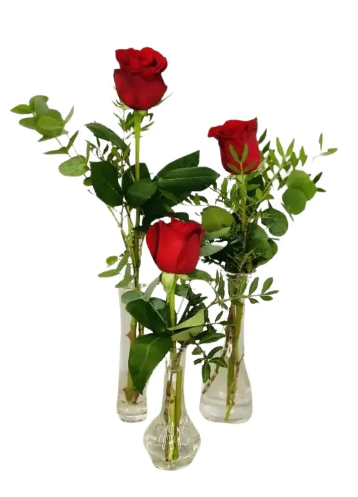 Red Rose Trio in Vases