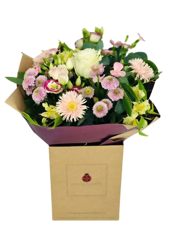 Twinkle Twinkle Pastel Hand Tied